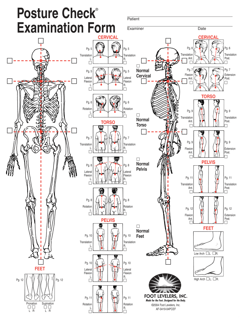 Guide to Plumb Line Assessment for Posture image (2)