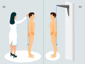 Guide to Plumb Line Assessment for Posture - Physiogain