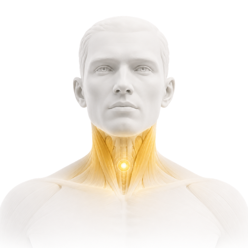 Neck