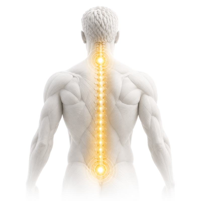 Home Lower Back Pain