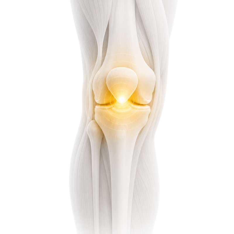 Home ACL Rehabilitation