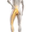 Home Sciatica