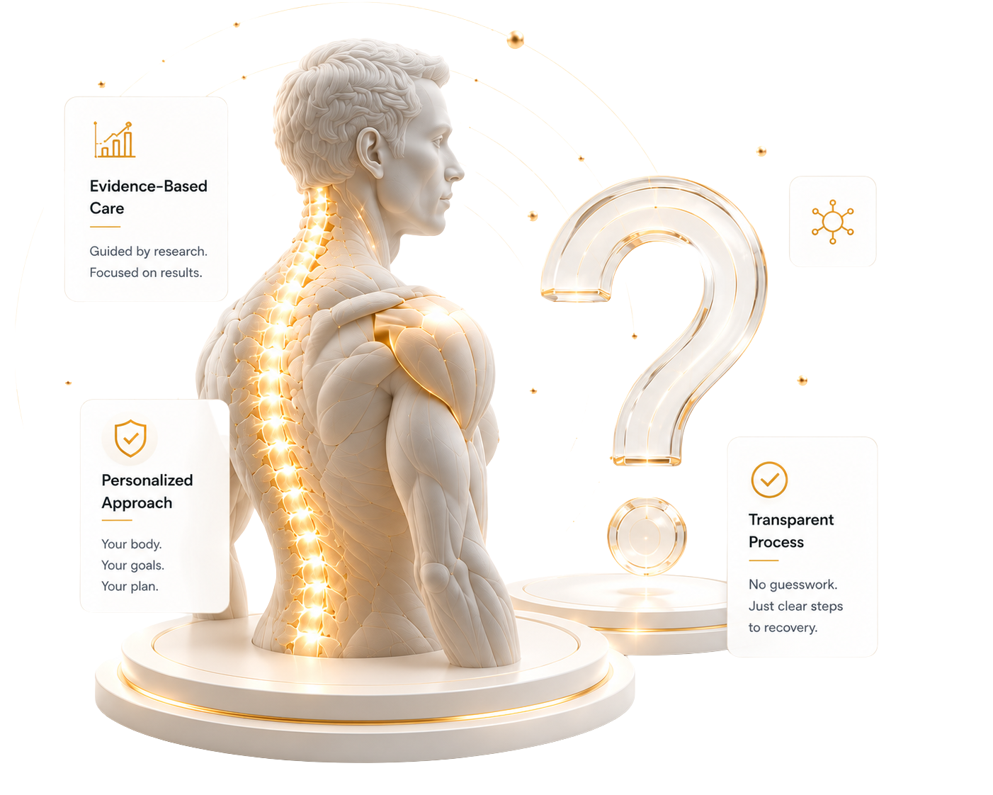 Home Anatomical Figure with Glowing Spine