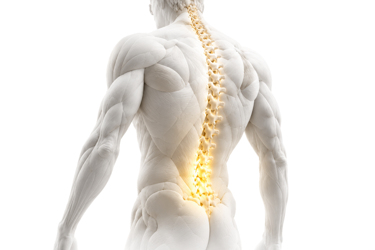 Back Pain